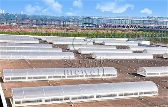 圓拱型電動采光排煙天窗(側開式)