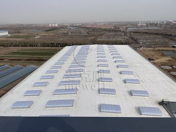 山東側開式圓拱型采光排煙天窗